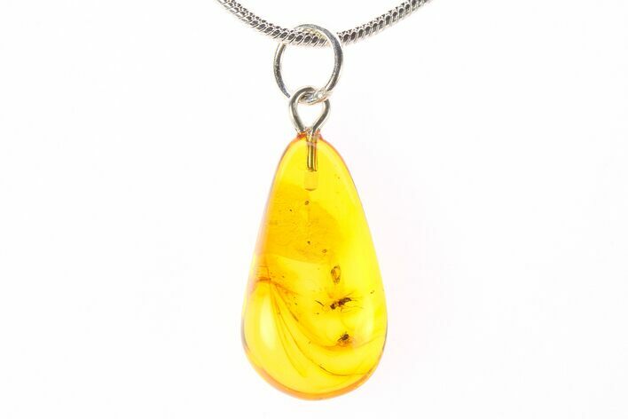 Polished Baltic Amber Pendant (Necklace) - Contains Fly & Mite! #288883